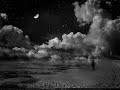 Stay with me - Gust Vanderwaeren