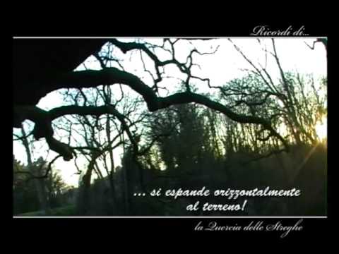 Guarda il video
