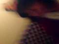 videos de esa gentee !