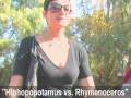 Hiphopopotamus vs. Rhymenoceros MyDamnChannel lipdub