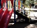 At the Playground