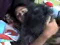 Milly DOG kawai