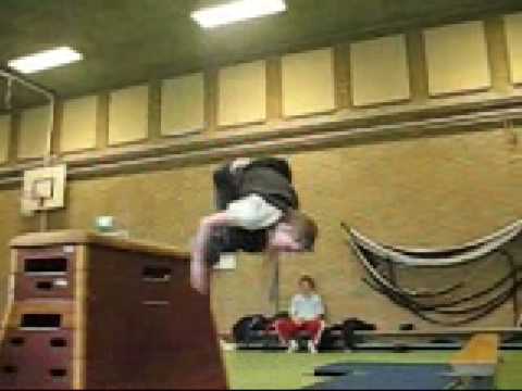 F.R.O.M. Gymsampler 2007