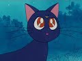 Sailor Moon : Separazione Sailor Moon : Separazione
