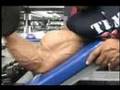Guns-March-Muscle-DV