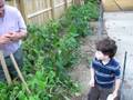 videos de Grandpa Joe and Carmelo Gardening