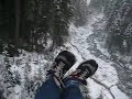 Whistler Zippin'
