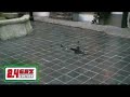 Walkera HM 5G4Q3