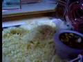 Craxi the Backflipping Hampster