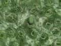 Micro Macro