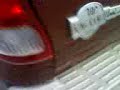 King Ranch Truck
