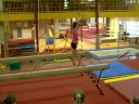 Anneloes Holleman balk juni 2008