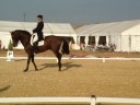 Campeonato de España doma clasica 3