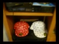 My Room