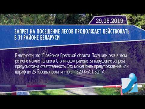 Новостная лента Телеканала Интекс 29.06.19.