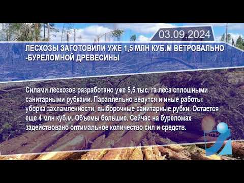 Новостная лента Телеканала Интекс 03.09.24.