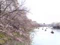 なずな動画14