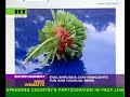 English Russia on Russia Today TV