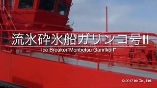 Okhotsk Icebreaker Garinko