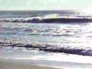 surf new york tom sachs beauty