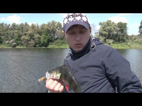 видео мастер класс ловля щуки весной на видео мастер класс ловля щуки весной на