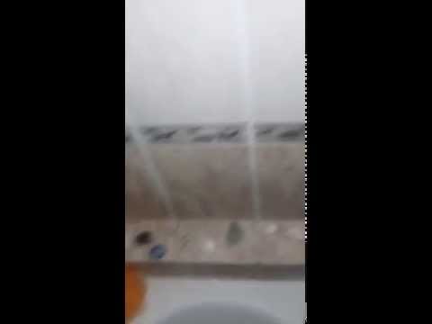 video-show