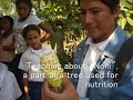 Nicaragua
