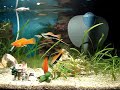 Aquarium Aquarium