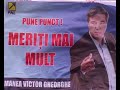 Victor-Manea-elefant