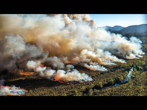 Australien: Feuerwehrleute kmpfen gegen Waldbrnde in Tasmanien