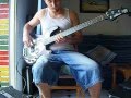 Bad reputation bass cover