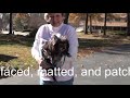 PomRescue.com\ PomRescue.com\