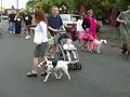 Parade 2008
