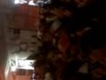 videos de salida de la legion