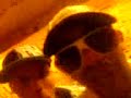 mr-sjaaks-exclusive.html