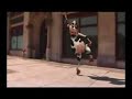 Crazy Cow - I like to Muh Muh
