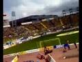 made in naciente - alineacion de las palmas