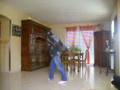 Hotihoti shuffling