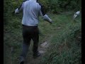 Hundetraining