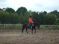 Probereitstunde (2)