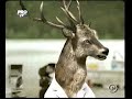 Ciucas incalzire globala