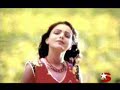 Arzu -Yaralı ceylan