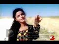 Arzu -Yaralı ceylan