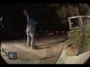 411 Video Magazine - Profile - Mike Taylor