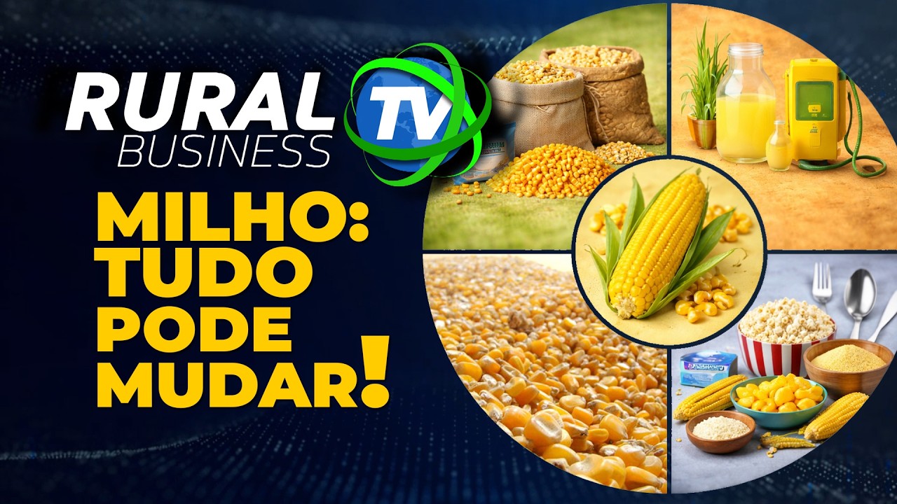 MILHO: TUDO PODE MUDAR!