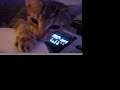 Dj Slurpee - Cat