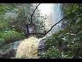 El Salvador Ecológico 9