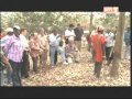 La Mission D évaluation De La Banque Mondiale Visite Les Plantations D hévea Et De Palmiers À Huile