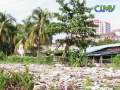 Kampong Tanjong Tokong - Overview