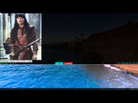 how to xterm on linux